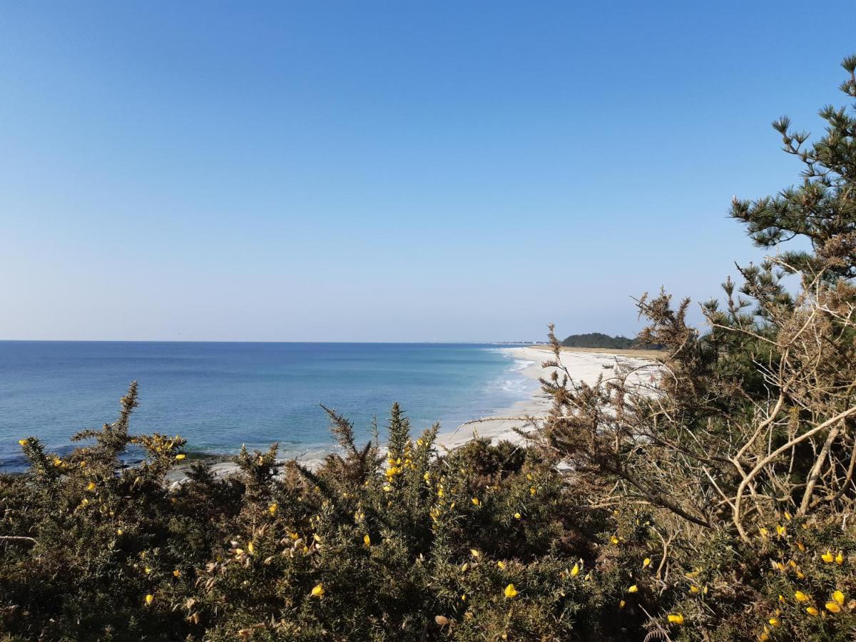 Agape, Elegant T2, 4 Etoiles, Plage Et Gr34 3Km, Centre Ville 750M Фуэнан Экстерьер фото